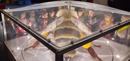 processed-4052b5bd-868e-4167-8f0c-eebf37b770f9_AxjxR8Us