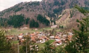 Vrzdenec