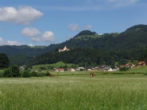 Podolnica