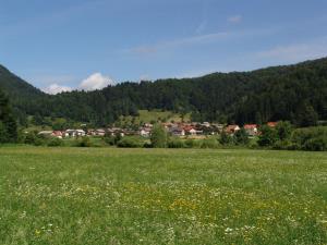 Podolnica