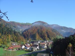 Ljubgojna