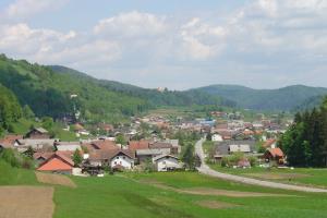 Ljubgojna