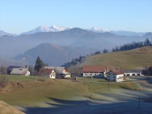 Samotorica