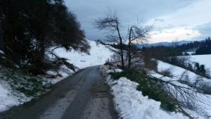 phoca_thumb_l_zled_2014_29