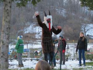 1074_1512396505_miklavz_2017_8