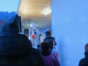 1074_1512396506_miklavz_2017_7