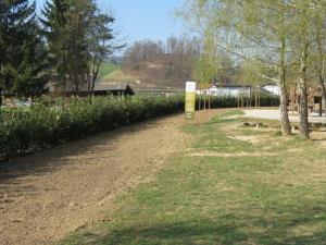 1074_1491564896_2017_ureditev_zelenice_sola_6