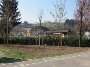 1074_1491564892_2017_ureditev_zelenice_sola_5