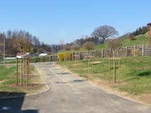 1074_1491564889_2017_ureditev_zelenice_sola_4