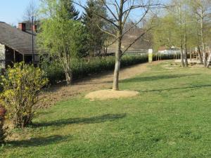 1074_1491564887_2017_ureditev_zelenice_sola_3