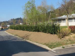 1074_1491564883_2017_ureditev_zelenice_sola_2